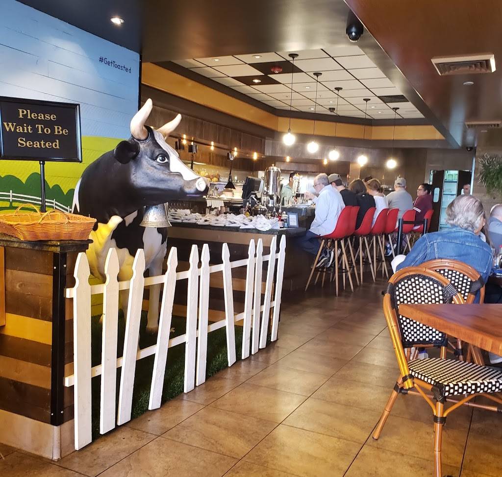 Toasted Gastrobrunch | restaurant | 9516 W Flamingo Rd Suite 100, Las Vegas, NV 89147, USA | 7026389500 OR +1 702-638-9500