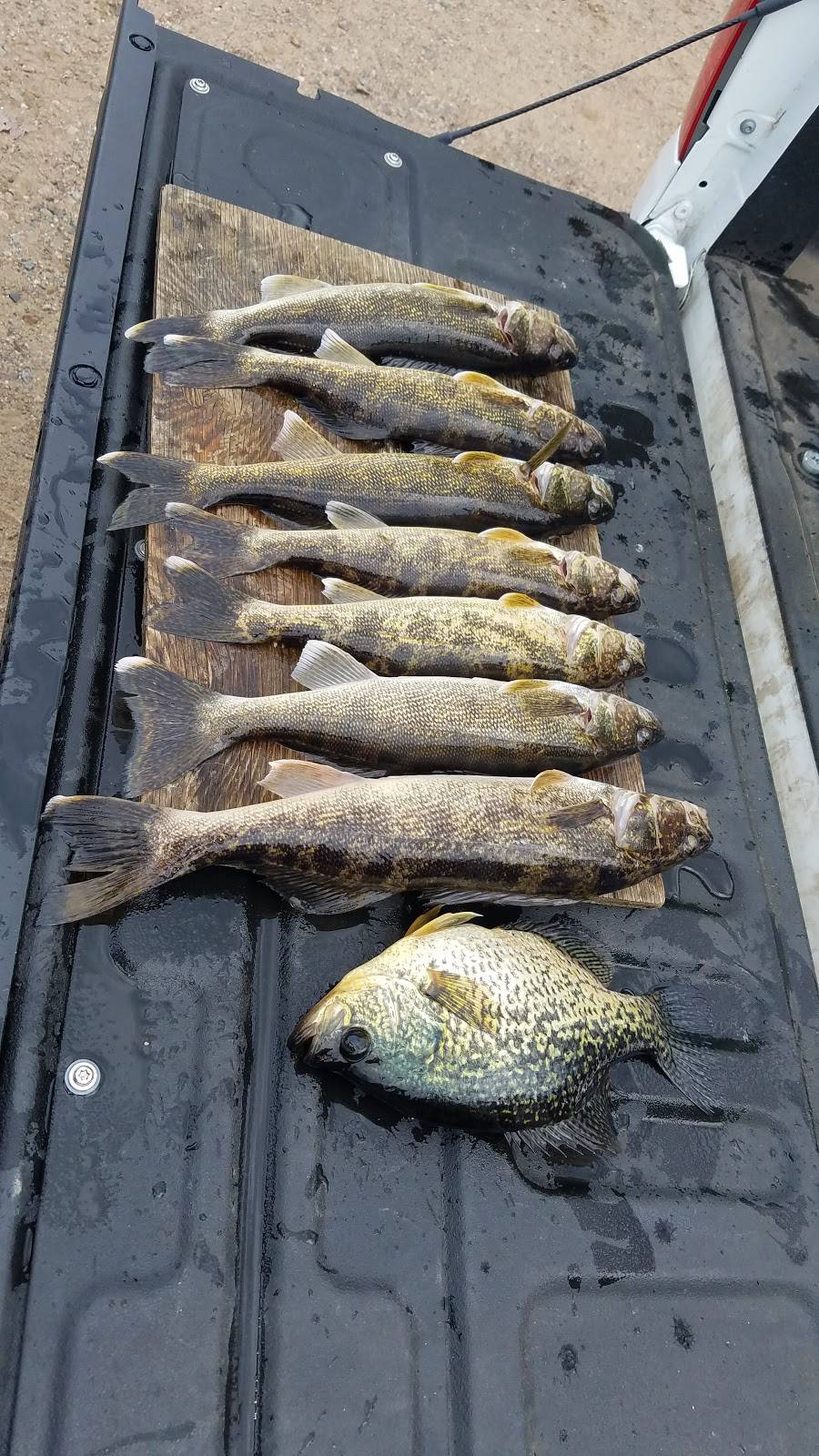 Shamrock Pub N Eatery | restaurant | 7235 Bradley St. Highway 47, Lake Tomahawk, WI 54539, USA | 7152772544 OR +1 715-277-2544