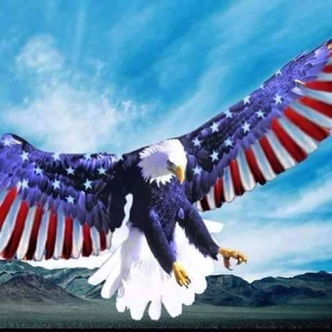 Masala Zone Fresh Indian Grill | restaurant | 146 S Main St, Orange, CA 92868, USA | 7143633350 OR +1 714-363-3350