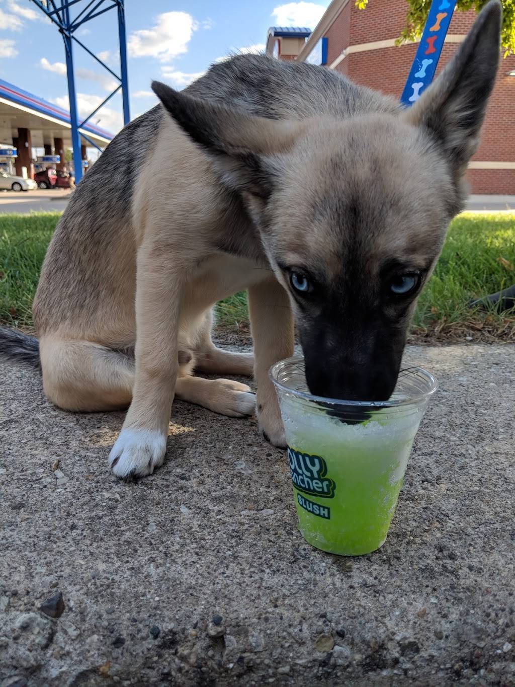 Delta Sonic Car Wash | bakery | 1812 W Jefferson St, Joliet, IL 60435, USA | 8152077000 OR +1 815-207-7000