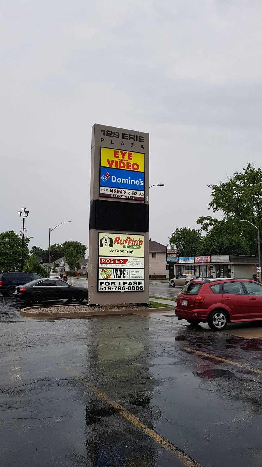 Wongs 2 Go | restaurant | 129 Erie St S, Leamington, ON N8H 3B5, Canada | 5193269049 OR +1 519-326-9049