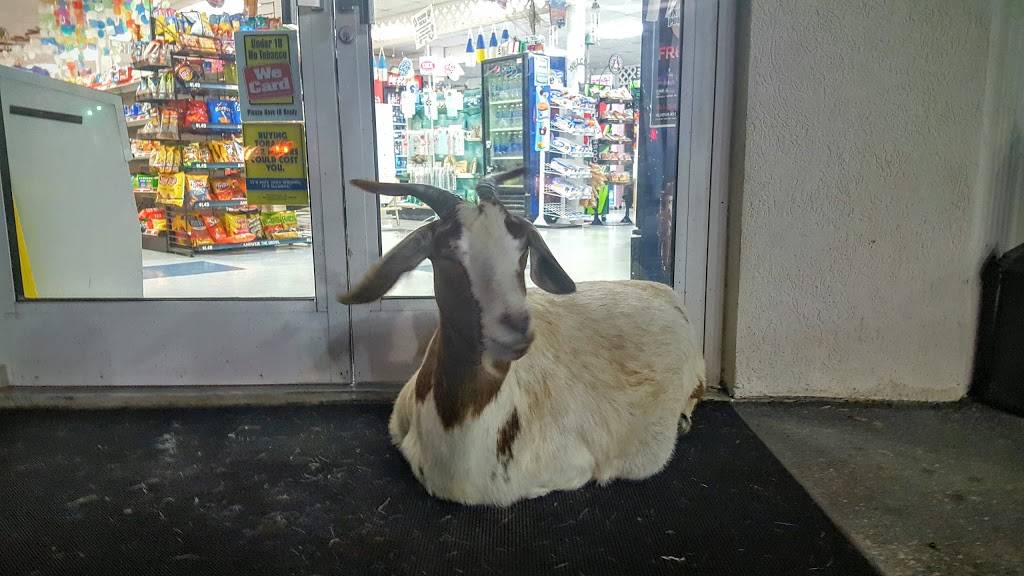 Whites Shopping Center | restaurant | 7395 US-64, Manns Harbor, NC 27953, USA | 2524732256 OR +1 252-473-2256