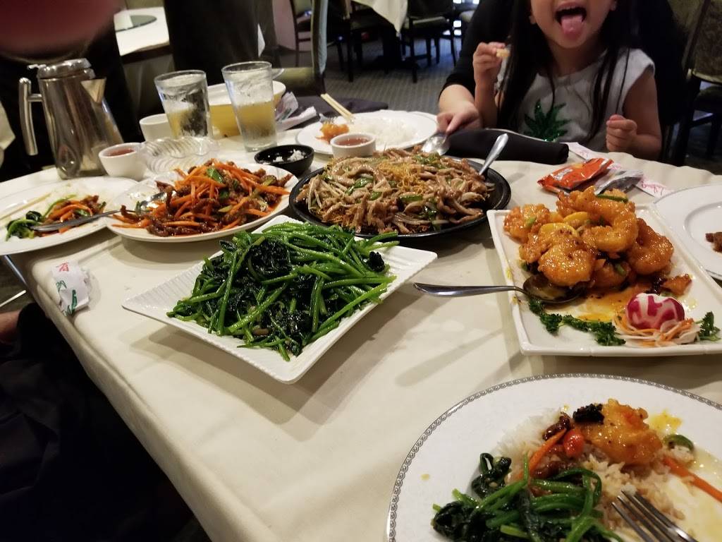 Hunan Manor | restaurant | 7091 Deepage Dr, Columbia, MD 21045, USA | 4103811134 OR +1 410-381-1134