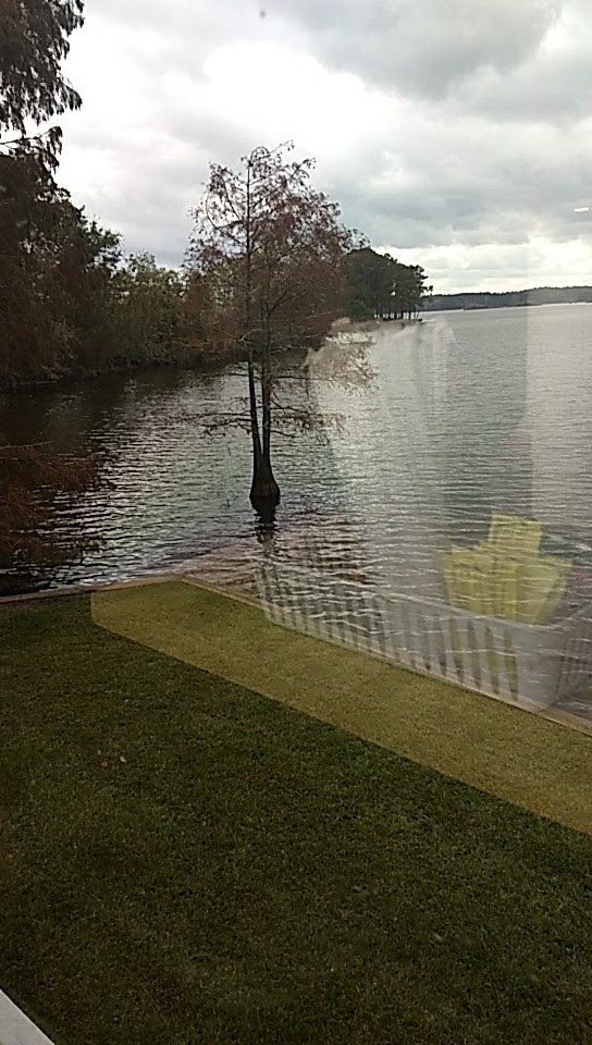 Almost Home | restaurant | 5810 LA-1, Natchitoches, LA 71457, USA | 3183522431 OR +1 318-352-2431