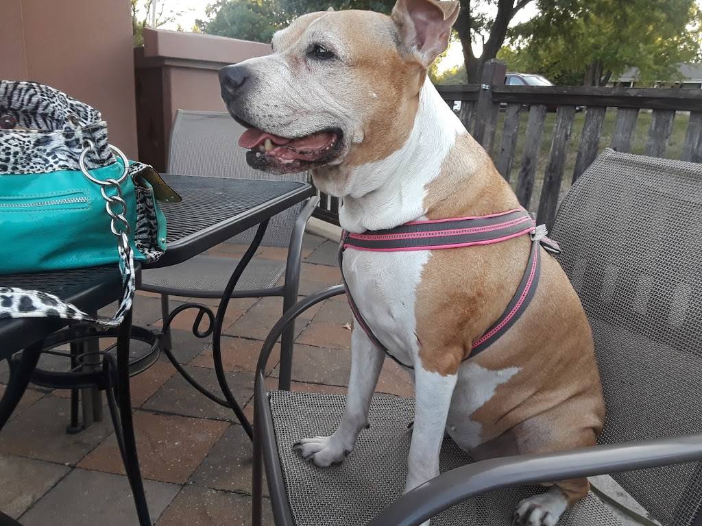 Henry Ts | restaurant | 1521 SW 21st St, Topeka, KS 66604, USA | 7852339333 OR +1 785-233-9333