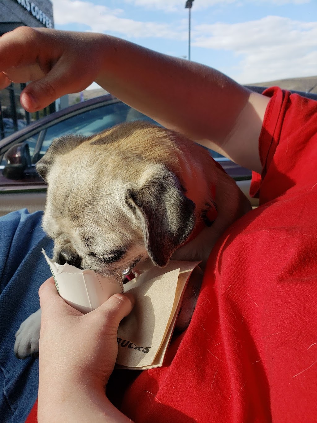 Starbucks | cafe | 3903 River Rd, Yakima, WA 98902, USA | 5094528153 OR +1 509-452-8153