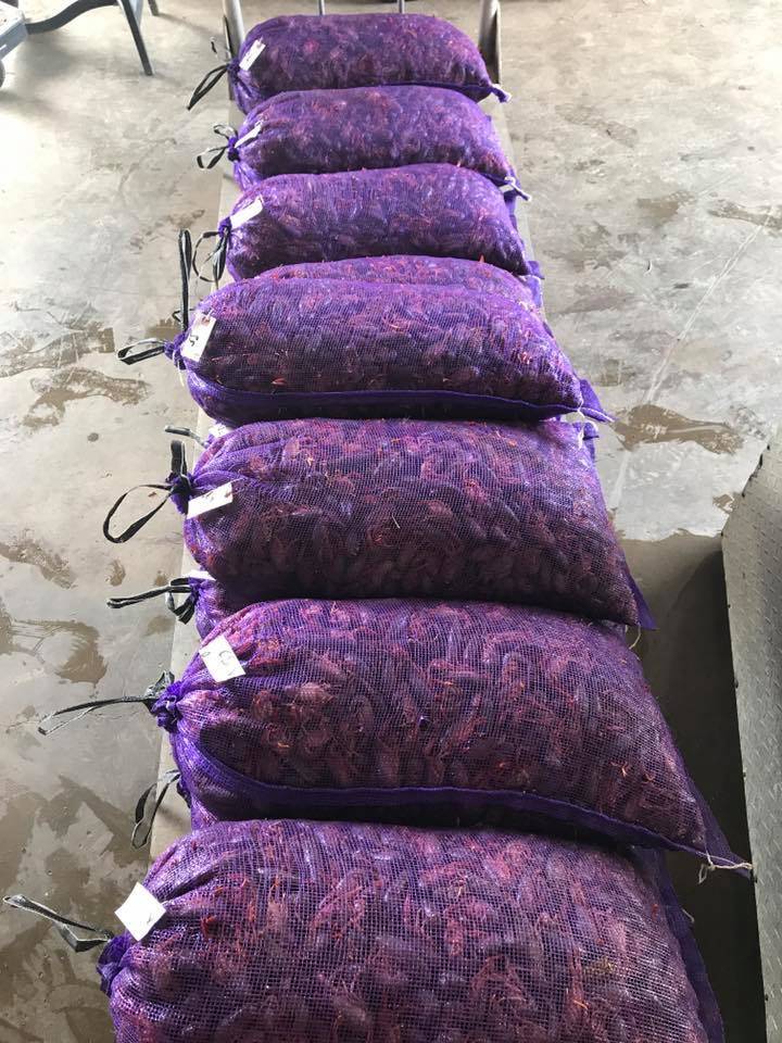 D&E Crawfish on the Go | restaurant | 517 South St, Mamou, LA 70554, USA | 3374598785 OR +1 337-459-8785