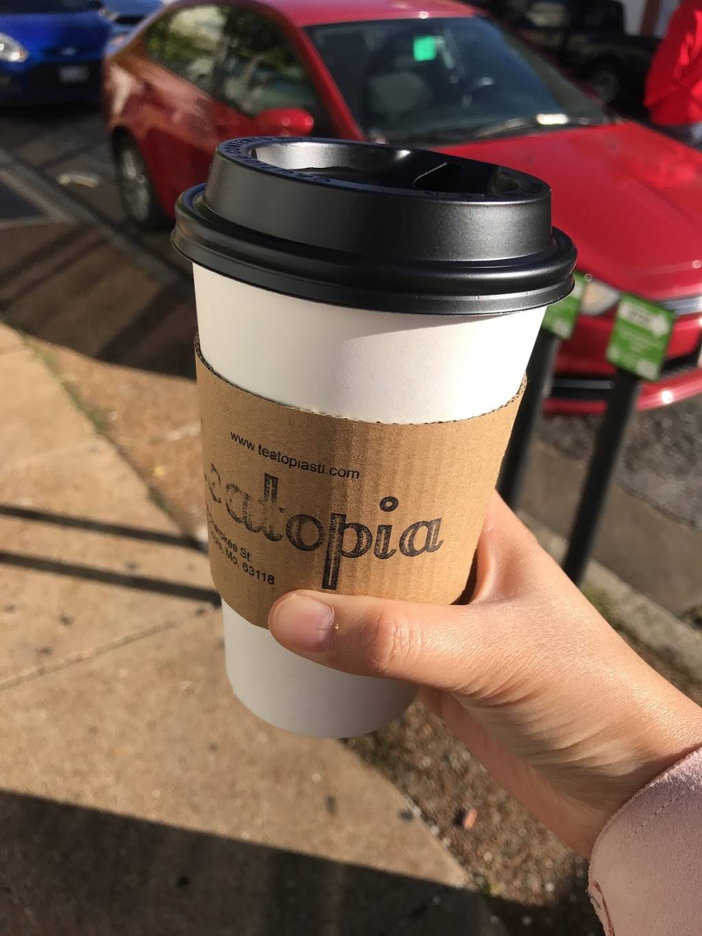Teatopia | cafe | 2606 Cherokee St, St. Louis, MO 63118, USA | 3145539402 OR +1 314-553-9402