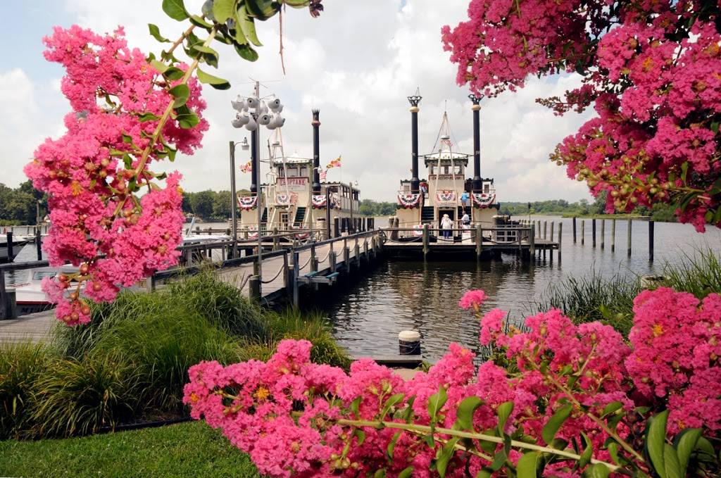 Choptank Riverboat Co | restaurant | 6304 Suicide Bridge Rd, Hurlock, MD 21643, USA | 4109434689 OR +1 410-943-4689