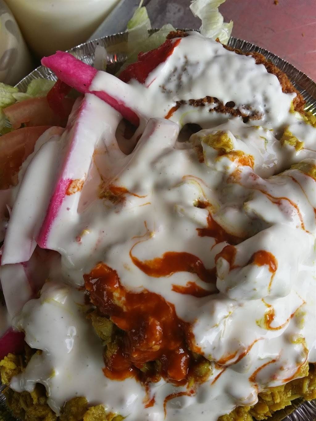 King Of Falafel & Shawarma Truck | restaurant | 30-16 Ditmars Blvd, Astoria, NY 11105, USA | 9179127870 OR +1 917-912-7870