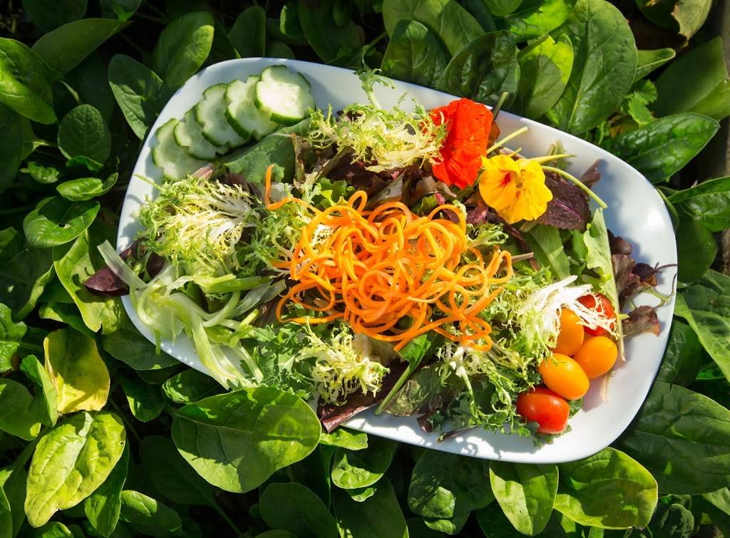 The Elkridge Furnace Inn | restaurant | 5745 Furnace Ave, Elkridge, MD 21075, USA | 4103799336 OR +1 410-379-9336