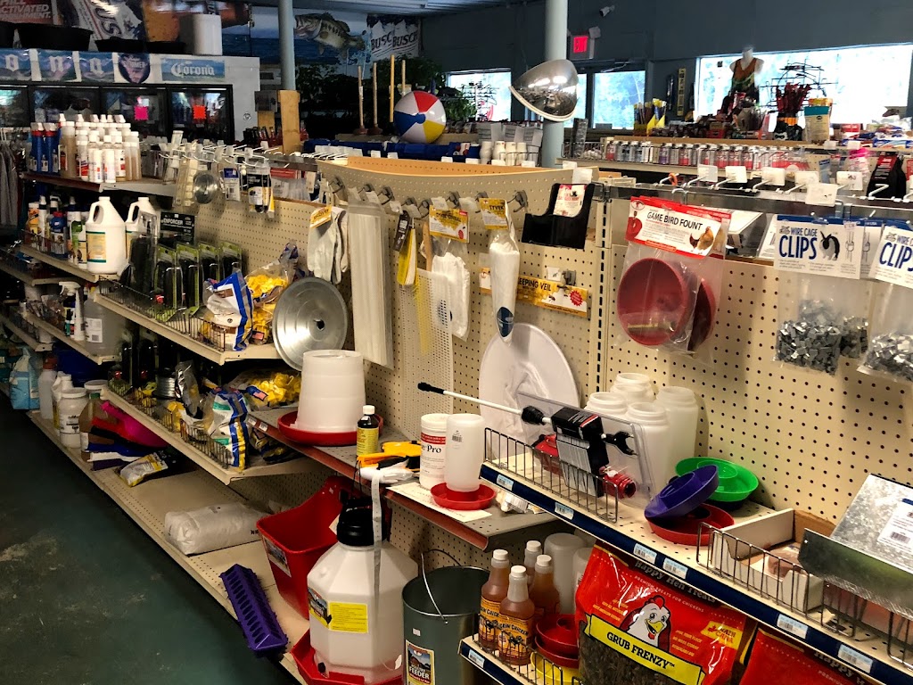 Chiodos 231 Express Market | meal takeaway | 17941 US-231, Fountain, FL 32438, USA | 8507220441 OR +1 850-722-0441