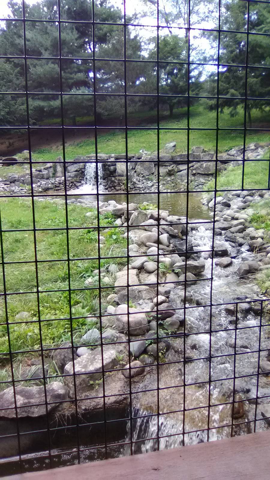 Culinary Experts | restaurant | 1825 W Chew St, Allentown, PA 18104, USA | 6108200800 OR +1 610-820-0800