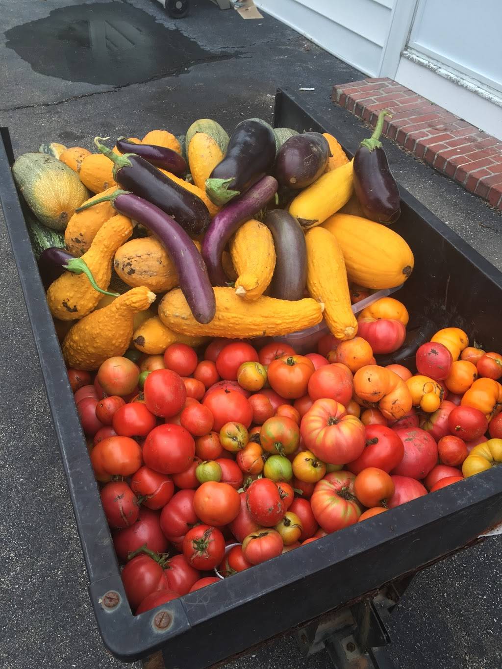 The Twisted Fork Bistro | restaurant | 509 Stafford St, Cherry Valley, MA 01611, USA | 5088925437 OR +1 508-892-5437