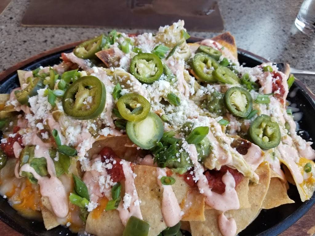 Lazy Dog Restaurant & Bar | restaurant | 8401 Preston Rd, Plano, TX 75024, USA | 4696091570 OR +1 469-609-1570