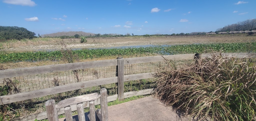 Swamp Water Cafe | restaurant | 30000 Gator Tail Trl., Clewiston, FL 33440, USA | 8639836491 OR +1 863-983-6491