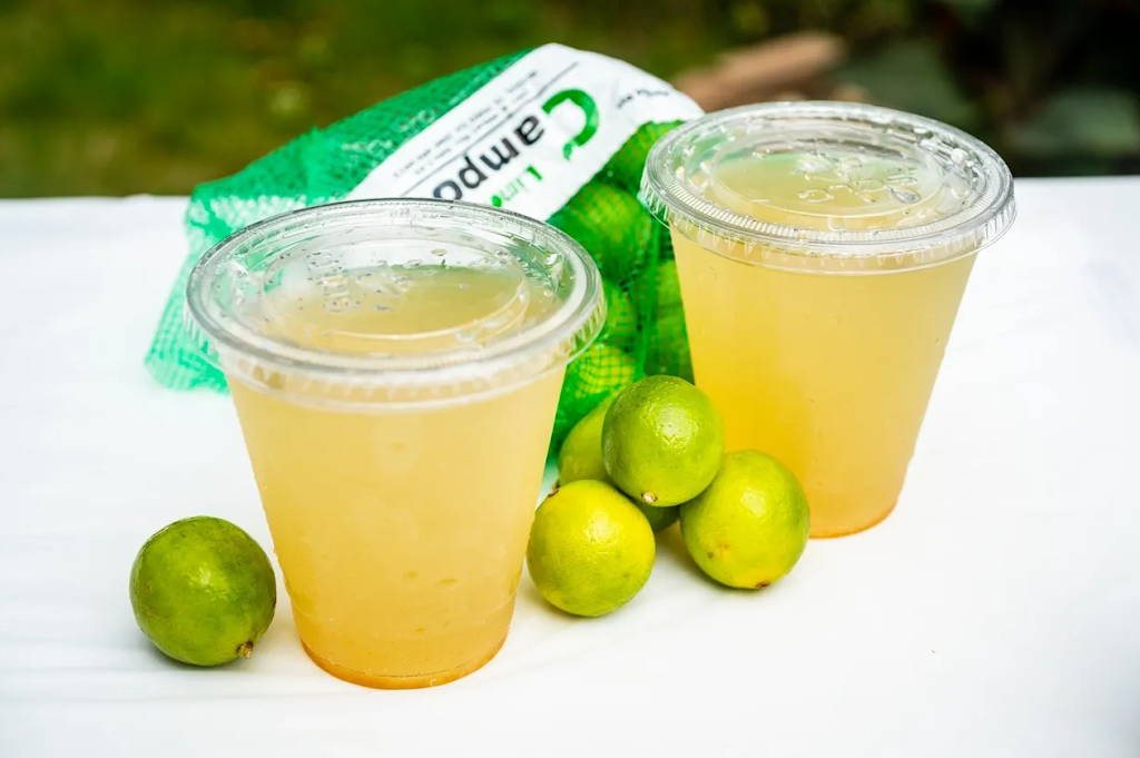 Smooth Ginger Smoothie N Ginger Juice Bar | restaurant | 1563 Sibley Blvd, Calumet City, IL 60409, USA | 7088720048 OR +1 708-872-0048