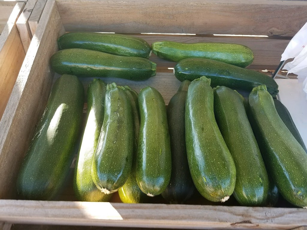 S S Bait and Tackle | restaurant | 8975 W 600 S, Andrews, IN 46702, USA | 2604682551 OR +1 260-468-2551