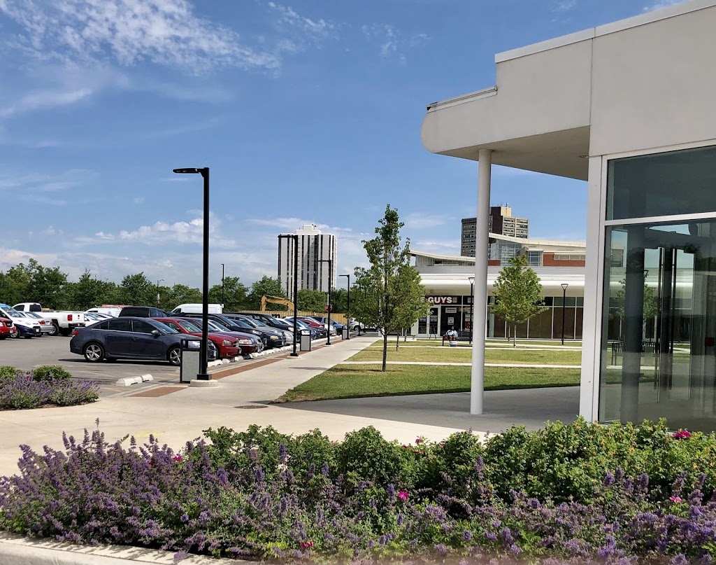 Five Guys | meal takeaway | 709 S Seeley Ave, Chicago, IL 60612, USA | 3122852709 OR +1 312-285-2709