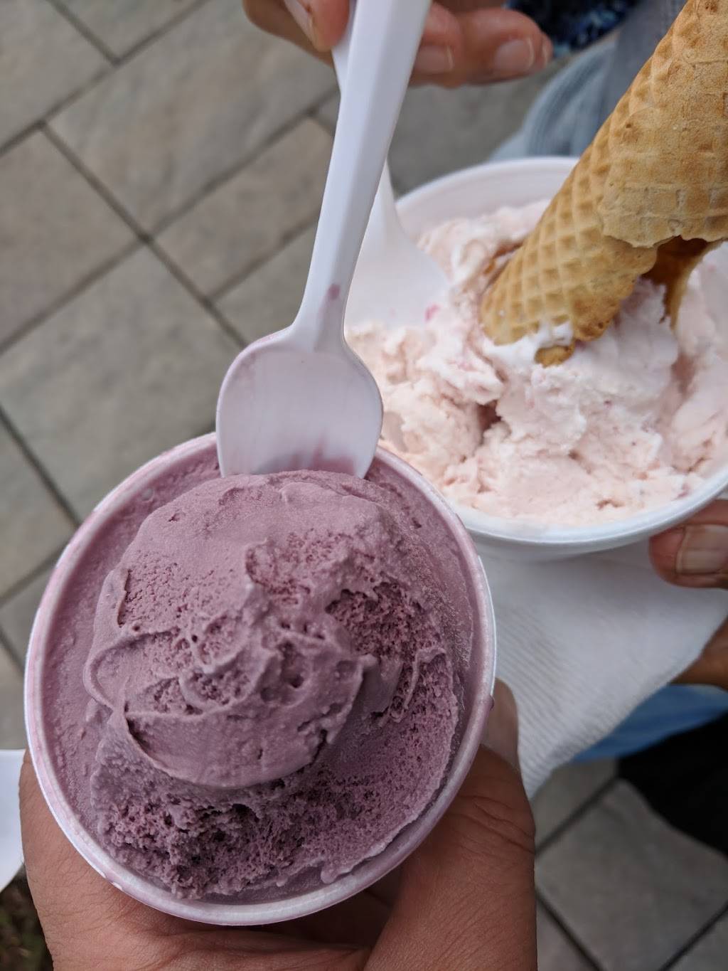 Dunnes Ice Cream | restaurant | 214 Nubble Rd, York, ME 03909, USA | 2073631277 OR +1 207-363-1277