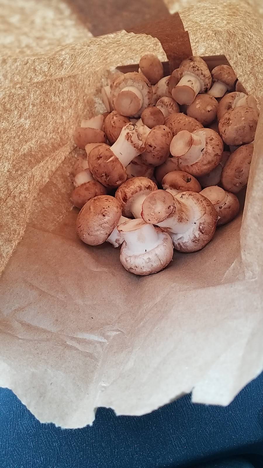 Gourmets Delight Mushrooms | restaurant | N4970 Co Rd H, Eden, WI 53019, USA | 9204775664 OR +1 920-477-5664