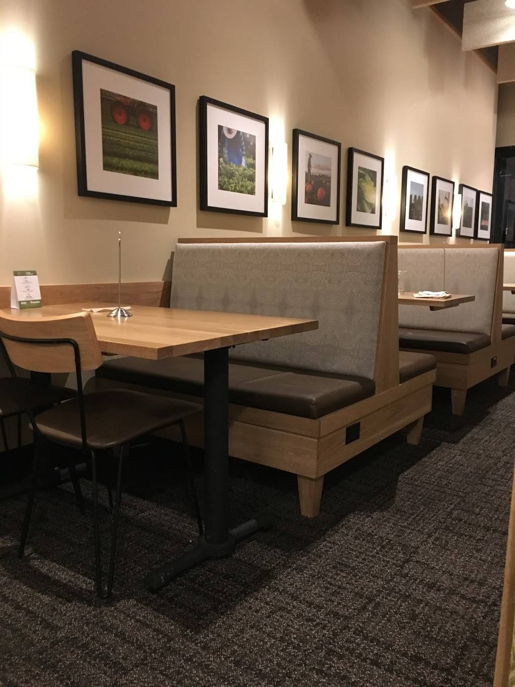 Panera Bread | cafe | 1705 W Gray St Suite 100, Houston, TX 77019, USA | 7135231180 OR +1 713-523-1180