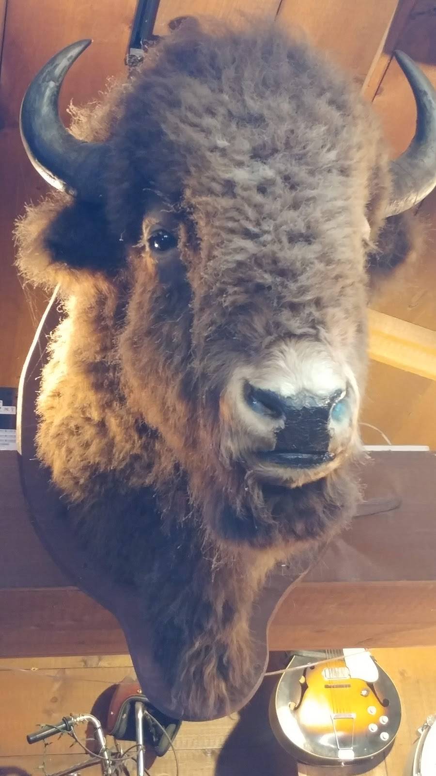 Frizzys Bar & Grill | restaurant | 140 Allen St, Buffalo, NY 14201, USA | 7168835077 OR +1 716-883-5077