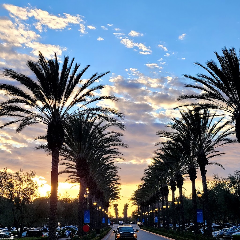 chan365 | restaurant | 6384 Irvine Blvd, Irvine, CA 92620, USA | 9495261553 OR +1 949-526-1553