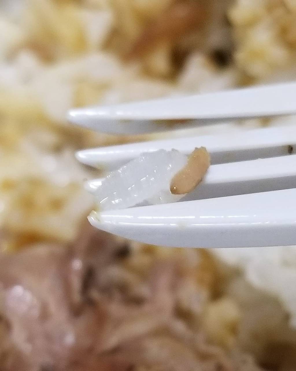 El Encanto Restaurant | restaurant | 216 Hillside Ave # 1, Waterbury, CT 06710, USA | 2037553333 OR +1 203-755-3333