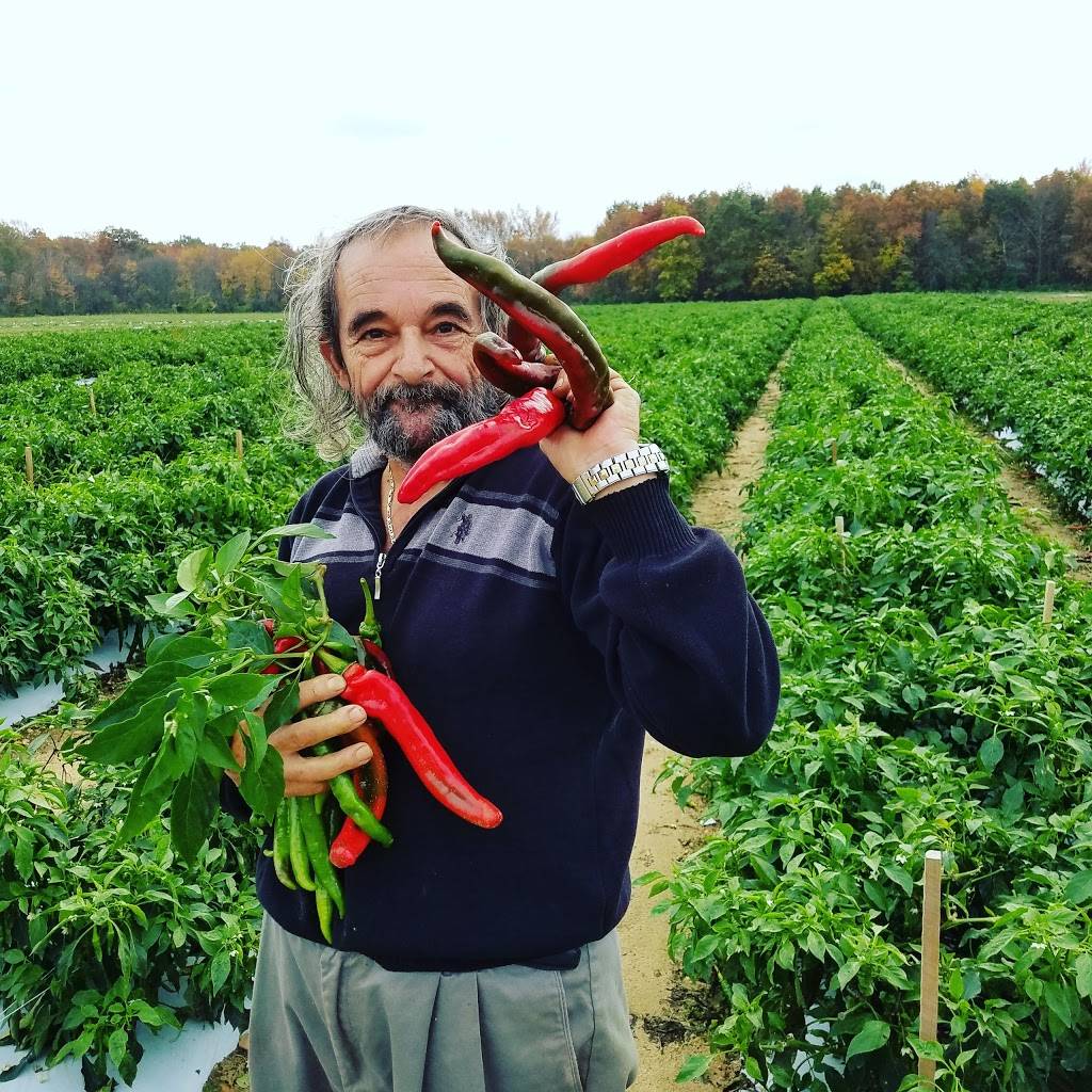 Via Mare Ristorante | restaurant | 2319 Ocean Dr, Avalon, NJ 08202, USA | 6093684494 OR +1 609-368-4494