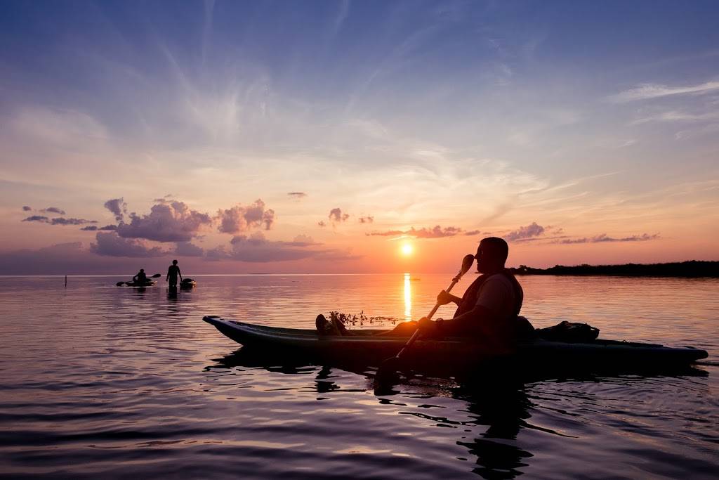 Bayou Adventure | cafe | 28178 U.S. Hwy 190, Lacombe, LA 70445, USA | 9858829208 OR +1 985-882-9208
