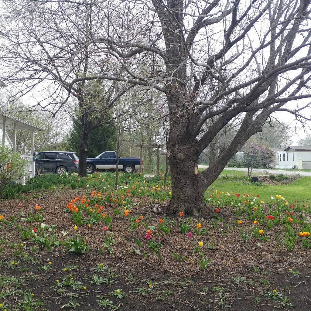 Jeannies Place | restaurant | 201 Miles Ave, Lewiston, NE 68380, USA | 4028654355 OR +1 402-865-4355