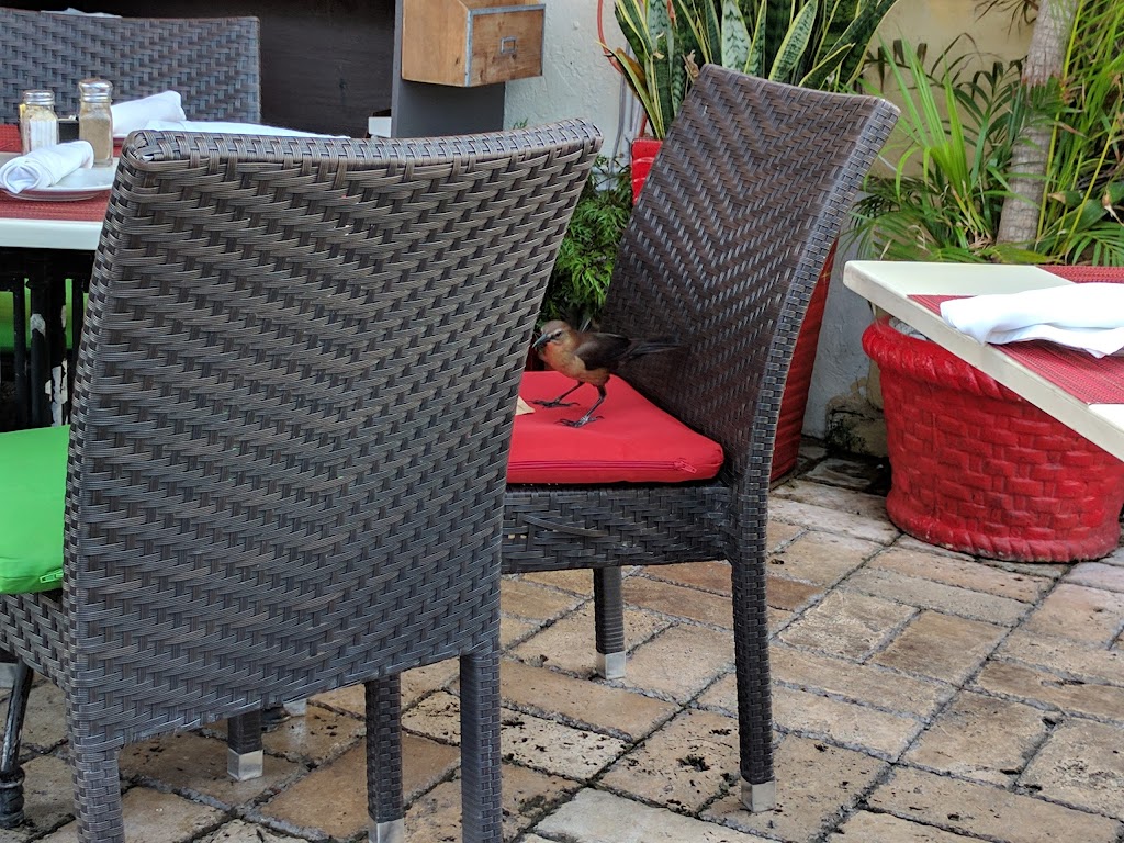 Mia Bella Roma | restaurant | 1238 Ocean Dr, Miami Beach, FL 33139, USA | 3053978544 OR +1 305-397-8544