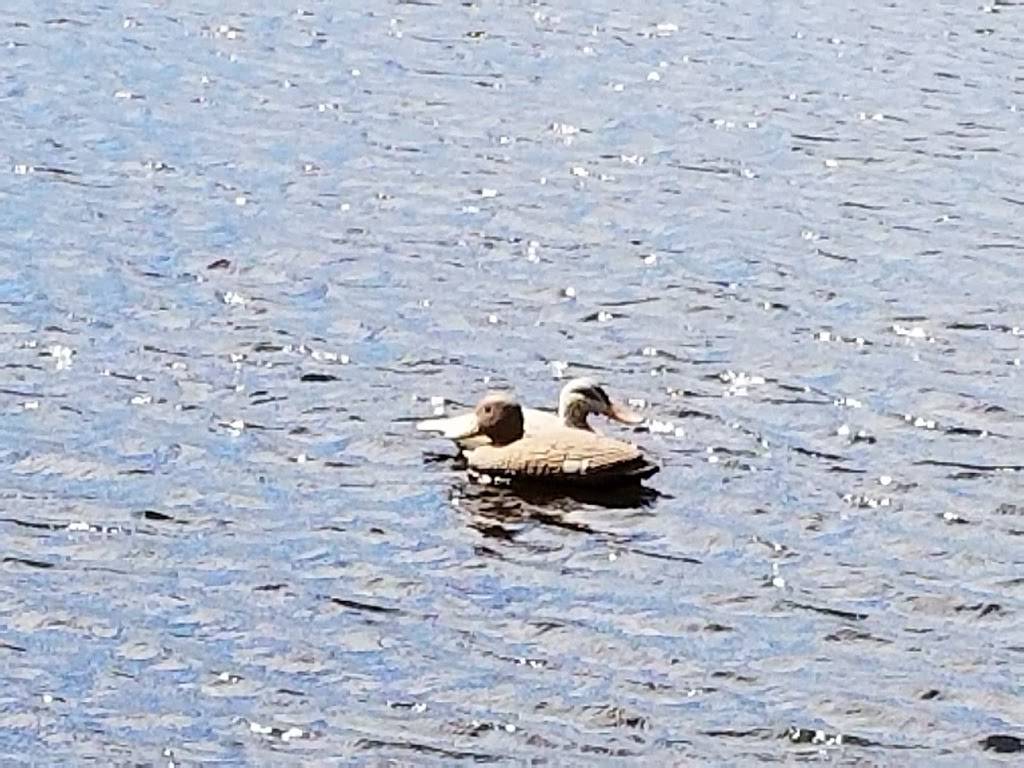 J Rs Eatery | restaurant | 4601 US-7, Pittsford, VT 05763, USA | 8024832348 OR +1 802-483-2348