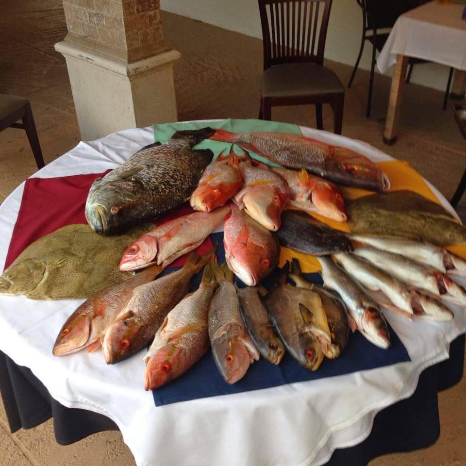 Ristorante Sapori | restaurant | 301 Via De Palmas, Boca Raton, FL 33432, USA | 5613679779 OR +1 561-367-9779