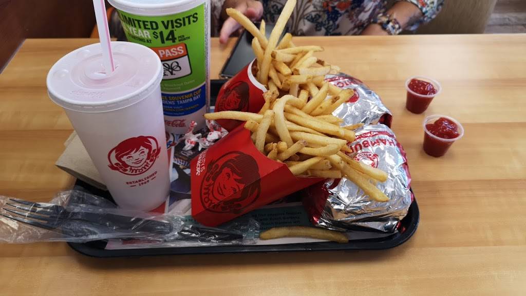 Wendys | restaurant | 4223 S Suncoast Blvd, Homosassa, FL 34446, USA | 3523822608 OR +1 352-382-2608