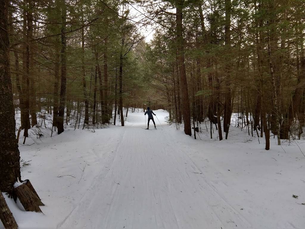 Maple Corner Farm | restaurant | 794 Beech Hill Rd, Granville, MA 01034, USA | 4133578829 OR +1 413-357-8829