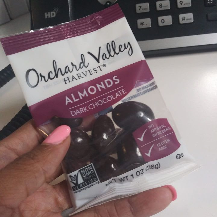 DaVegiNista | restaurant | 332 W 109th St, Chicago, IL 60628, USA | 3124733258 OR +1 312-473-3258