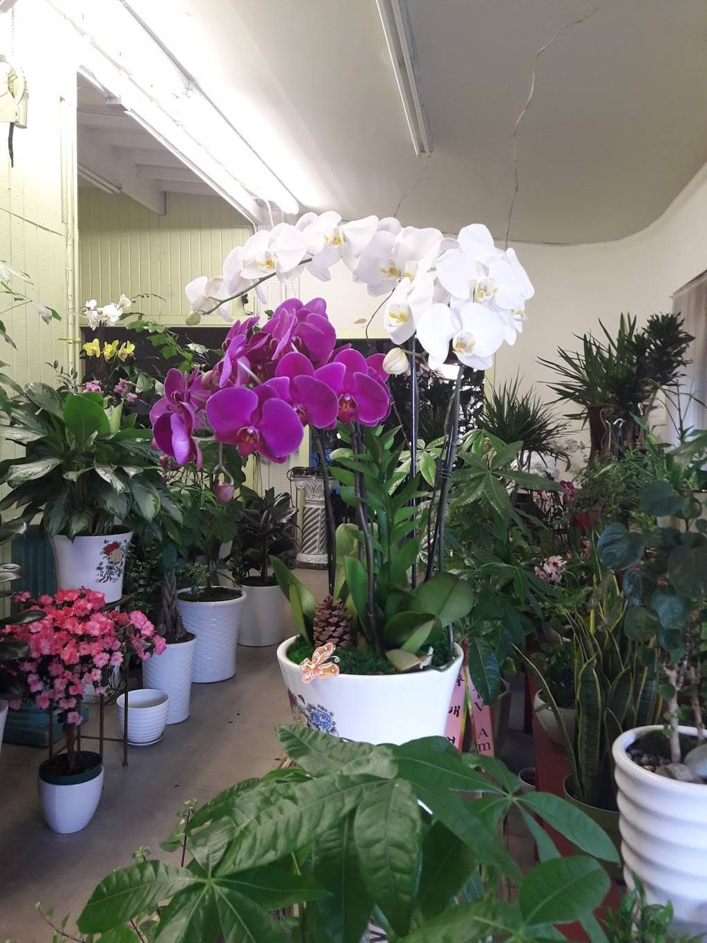 Moo Bong Ri | restaurant | 2949 W Olympic Blvd, Los Angeles, CA 90006, USA | 2133871600 OR +1 213-387-1600