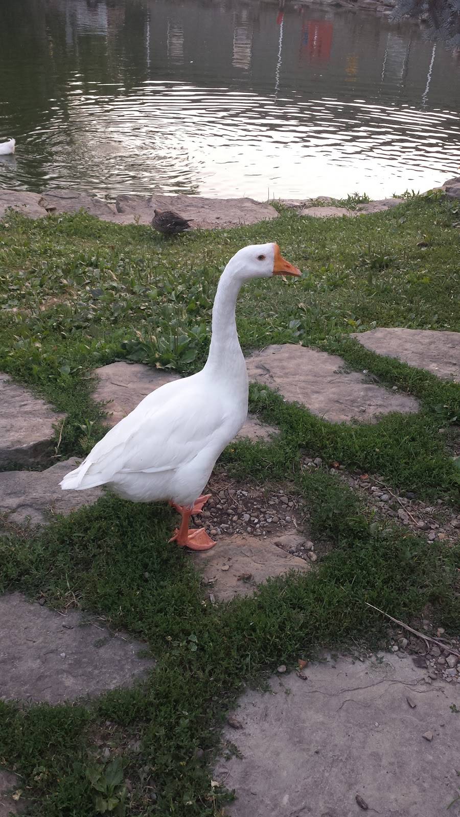 Rennerdale Corner Store | restaurant | 148 Noblestown Rd, Carnegie, PA 15106, USA | 4122768964 OR +1 412-276-8964