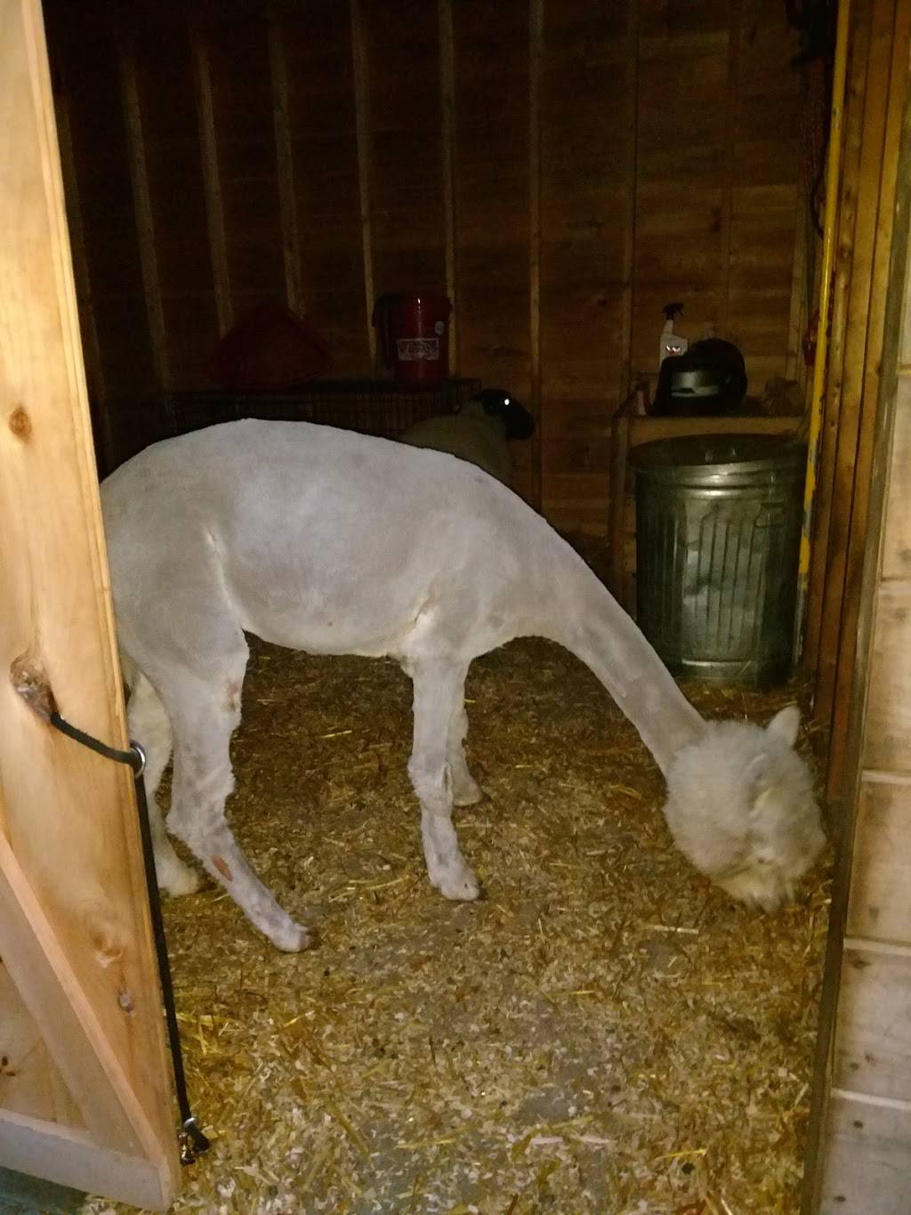 Frostys Dairy Bar |  | 1040 Main St, Waterboro, ME 04087, USA | 2072471261 OR +1 207-247-1261