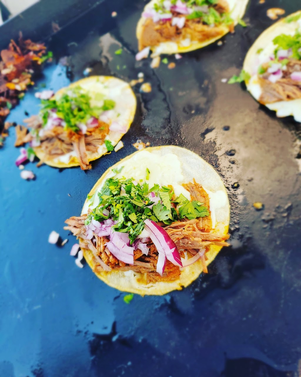 Gordoz Tacos | restaurant | 225 Rose Ct, Campbell, CA 95008, USA | 4085069217 OR +1 408-506-9217