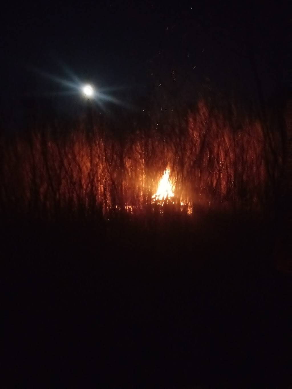 Subway | restaurant | 1525 W 1st St, Cedar Falls, IA 50613, USA | 3192684225 OR +1 319-268-4225