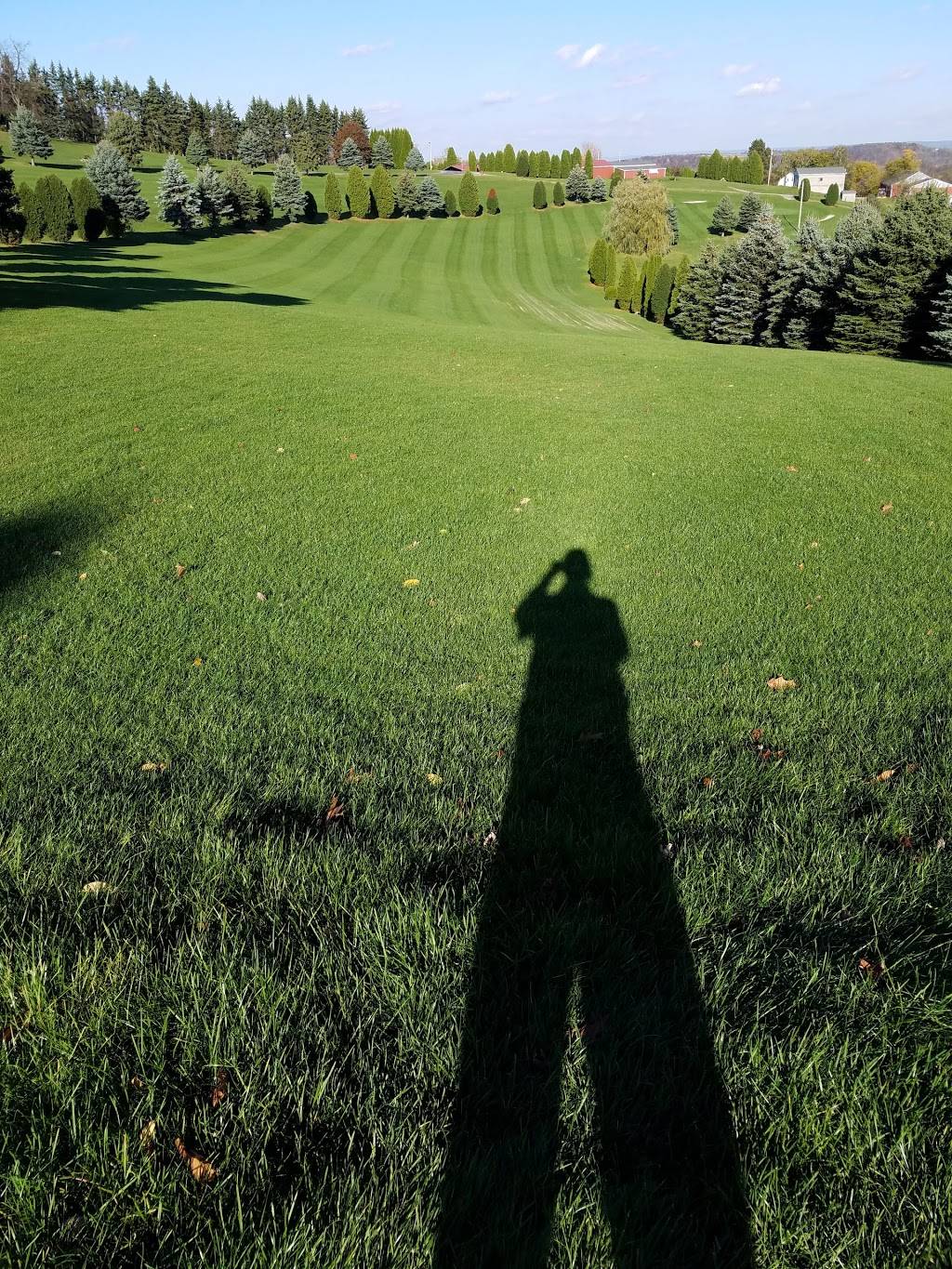 Lemon Drop Lounge | restaurant | 260 Clubhouse Ln, Ebensburg, PA 15931, USA | 8143448749 OR +1 814-344-8749