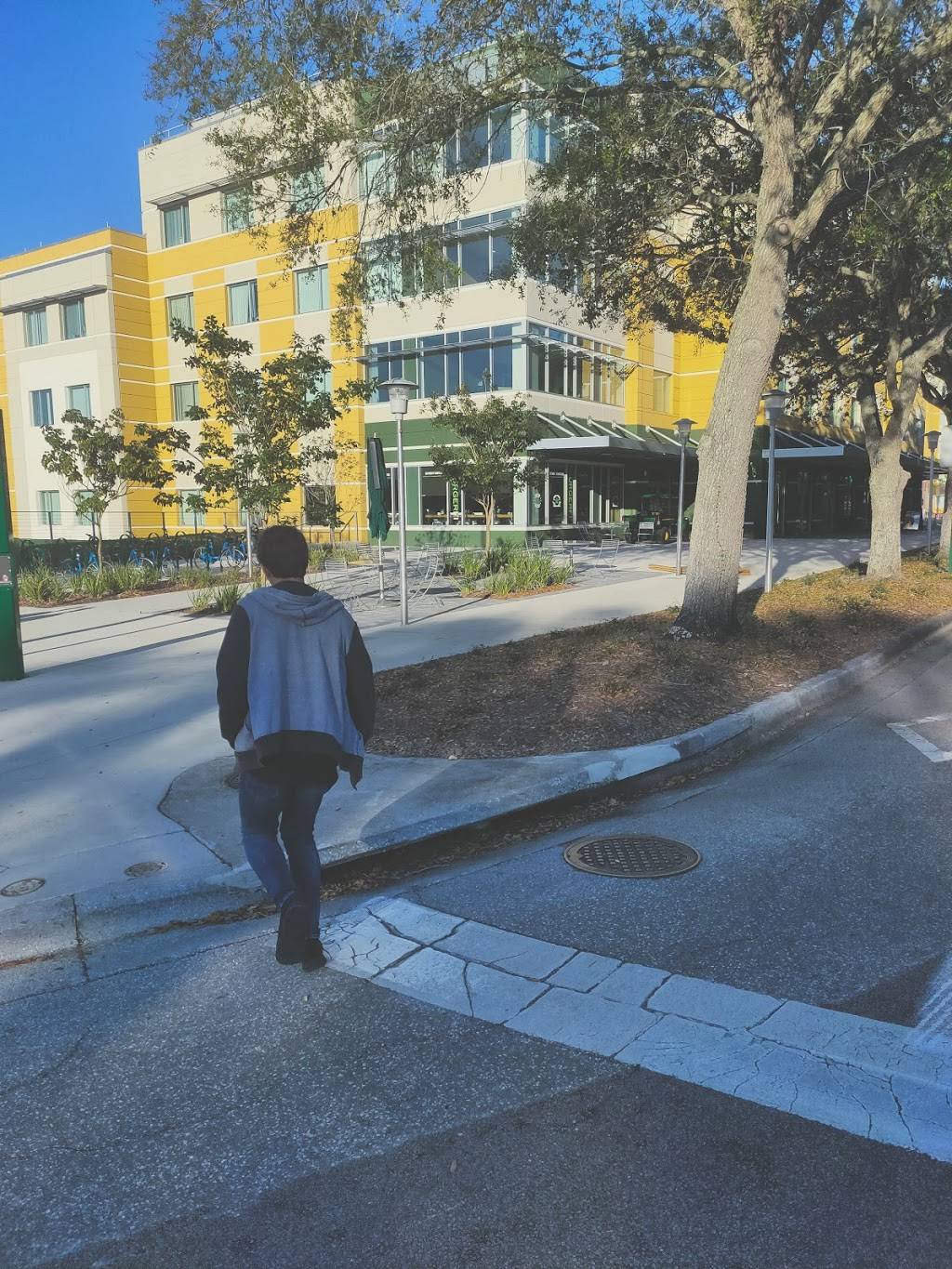 BurgerFi | restaurant | 4210 USF Holly Drive, Tampa, FL 33620, USA | 8139747778 OR +1 813-974-7778