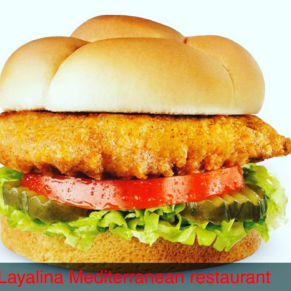 Layalina Mediterranean restaurant | restaurant | 706 Fort Worth Dr, Denton, TX 76201, USA | 9403823663 OR +1 940-382-3663