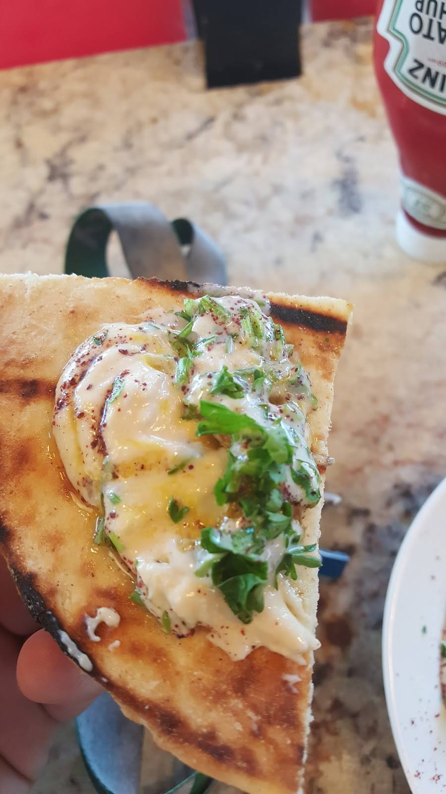 Zaina. مطعم | restaurant | 8000 Lake City Way NE, Seattle, WA 98115, USA | 2065283876 OR +1 206-528-3876