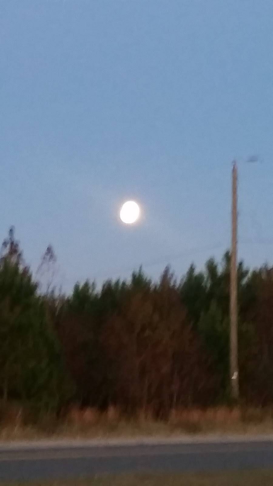 Dunkin | bakery | 4610 County Dr, Disputanta, VA 23842, USA | 8048634612 OR +1 804-863-4612