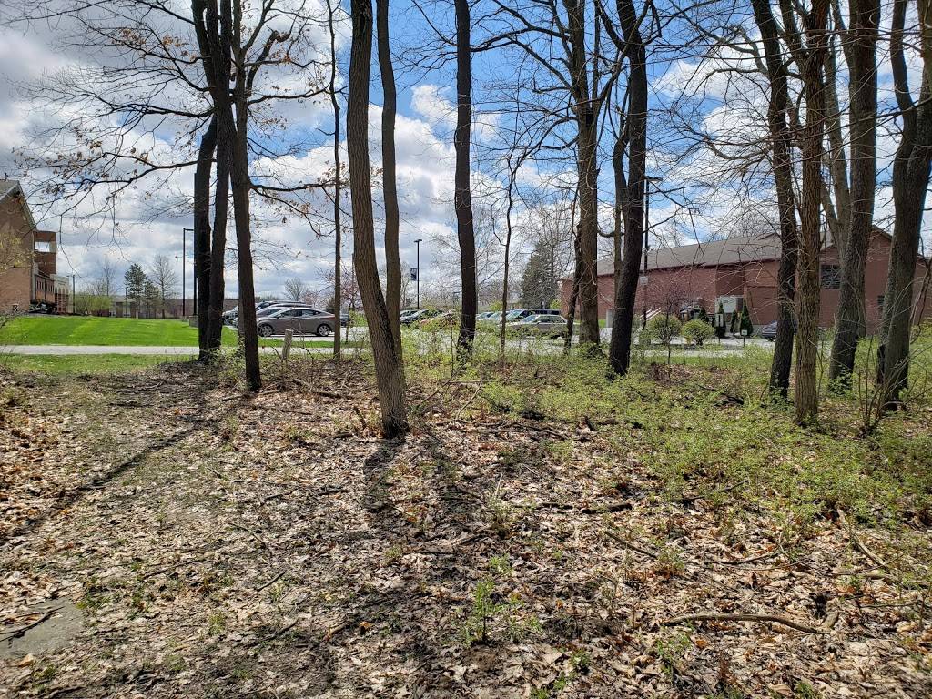 Urbana University White Family Grill | restaurant | Urbana, OH 43078, USA | 9377729348 OR +1 937-772-9348