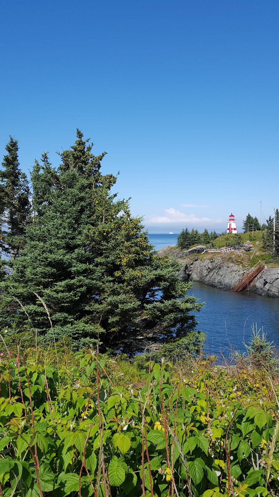 Lubec Brewing Co. | restaurant | 41 S Water St, Lubec, ME 04652, USA | 2077334555 OR +1 207-733-4555